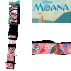 Disney Moana Pua Hei Hei dog collar Sz M